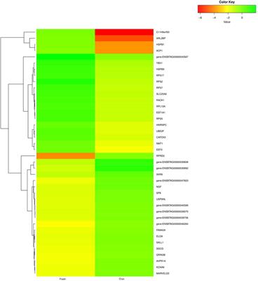 Cryopreservation process alters the expression of genes involved in pathways associated with the fertility of bull spermatozoa